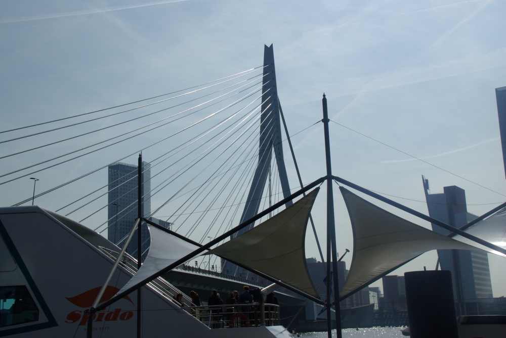Ansicht Rotterdam